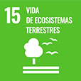VIDA DE ECOSISTEMA TERRESTRE