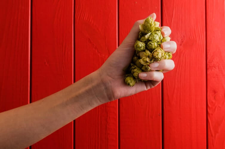cruzcampo